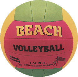 beach-volley-ball.gif (41709 bytes)