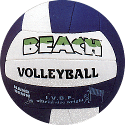 beach-volley-ball1.gif (47379 bytes)