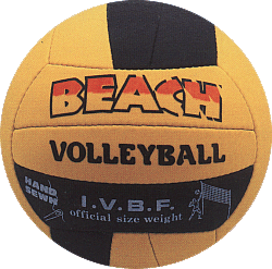beach-volley-ball3.gif (45946 bytes)