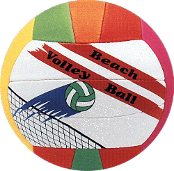 beach-volley-ball4.gif (44501 bytes)