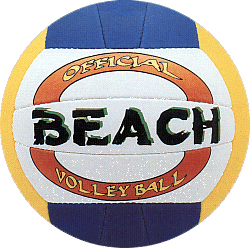 beach-volley-ball5.gif (42702 bytes)