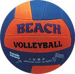 beach-volley-ball6.gif (45360 bytes)