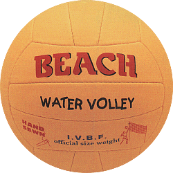 beach-volley-ball7.gif (38521 bytes)